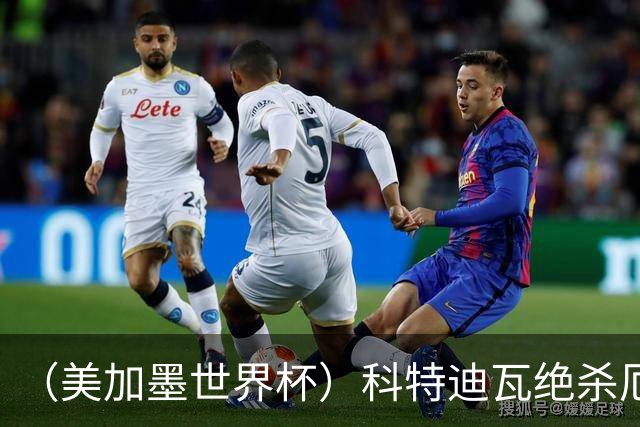 （美加墨世界杯）科特迪瓦绝杀厄瓜多尔 瑞典5:1大胜突尼斯